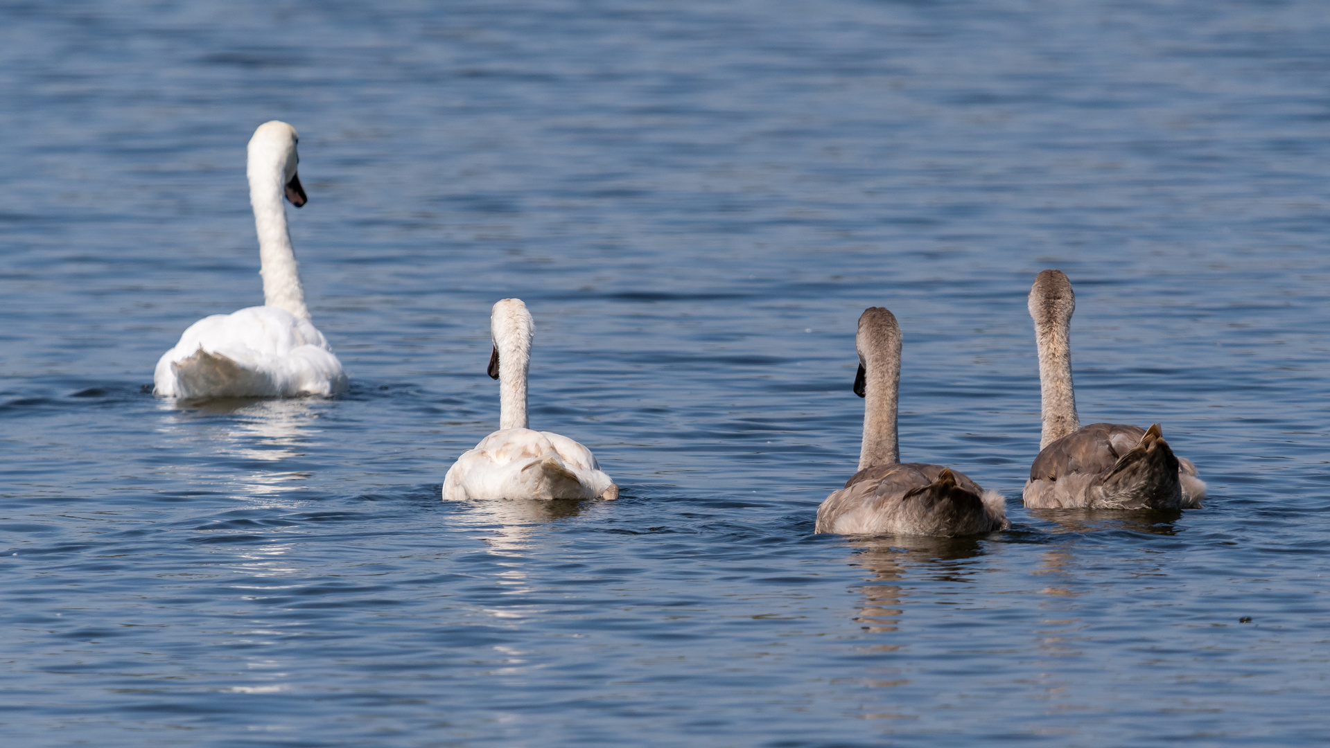 Familienausflug