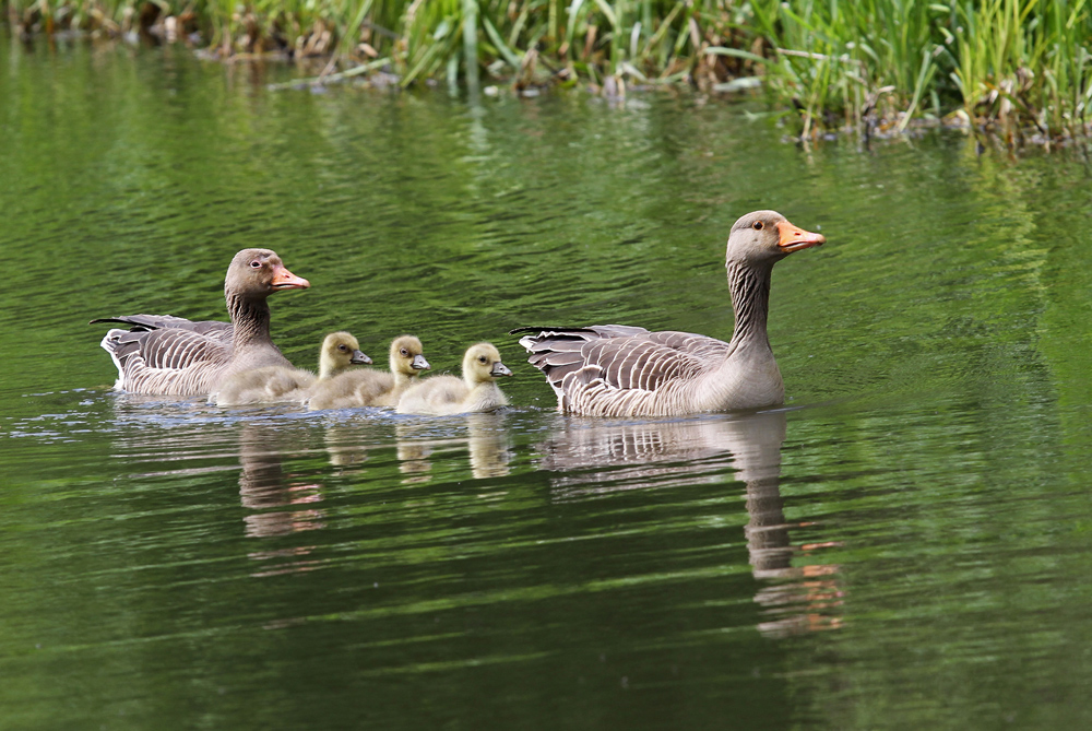 Familienausflug