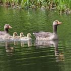 Familienausflug