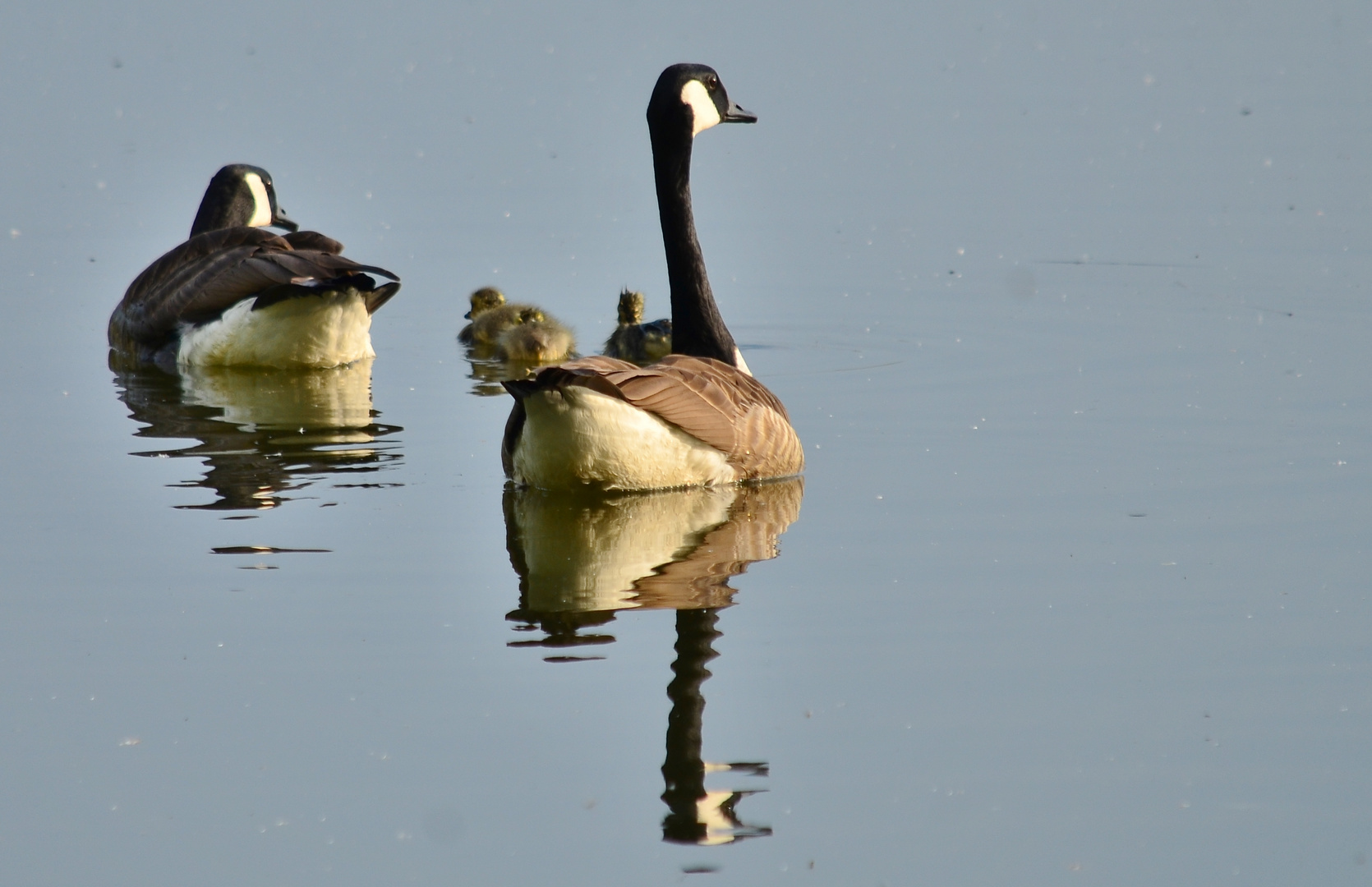 Familienausflug 