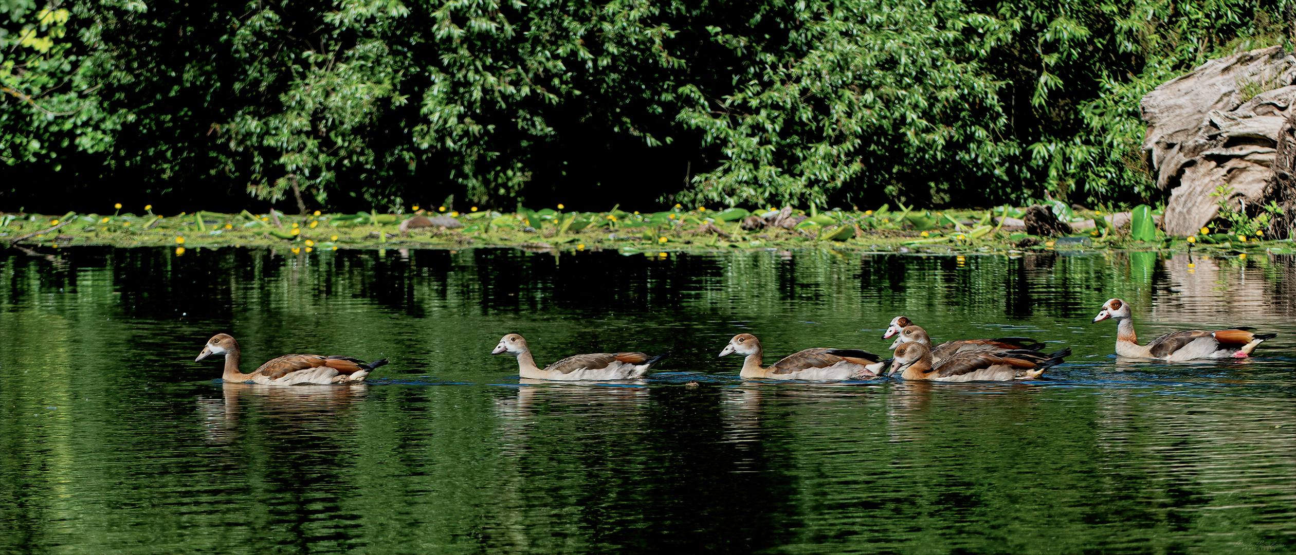 Familienausflug