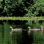 Familienausflug