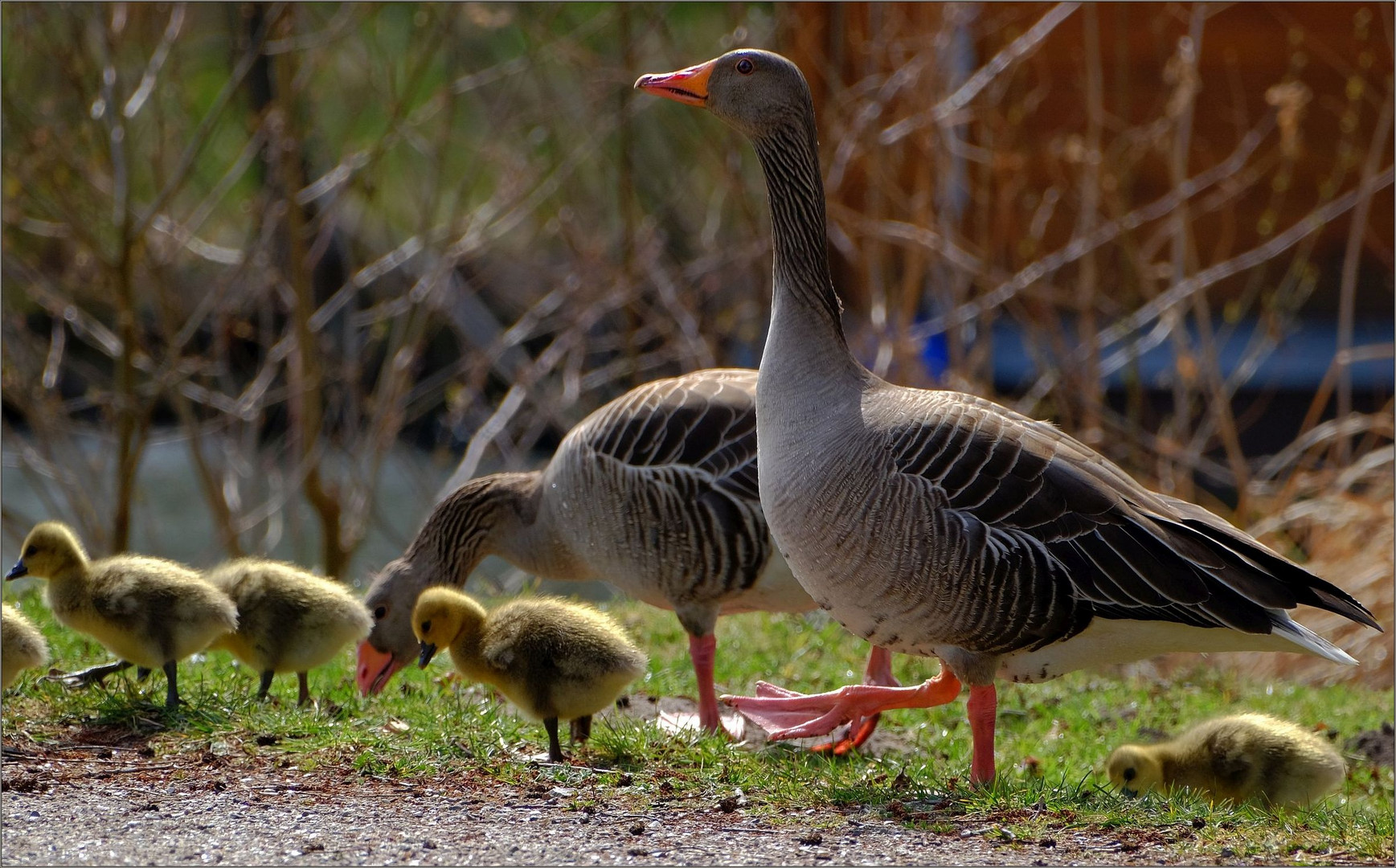 ...Familienausflug...