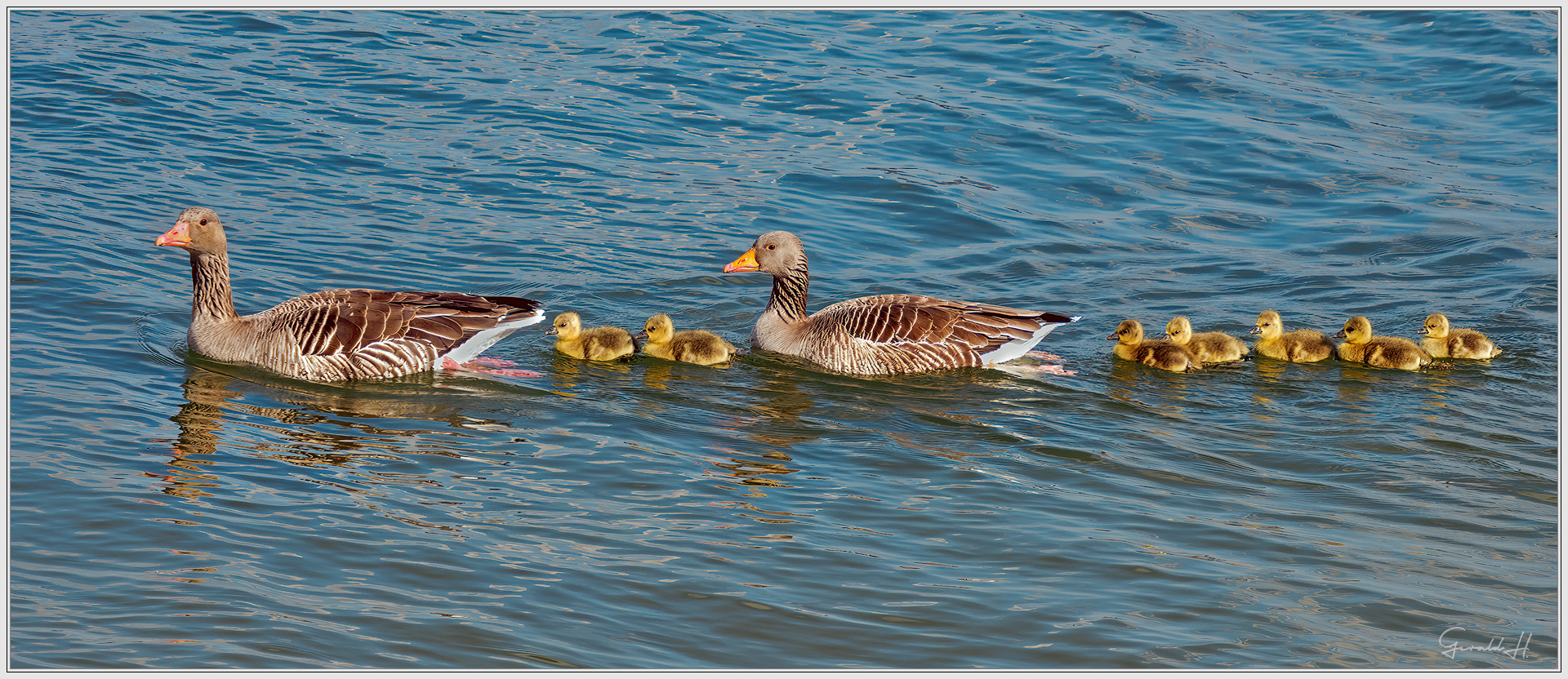 Familienausflug