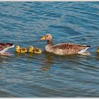 Familienausflug