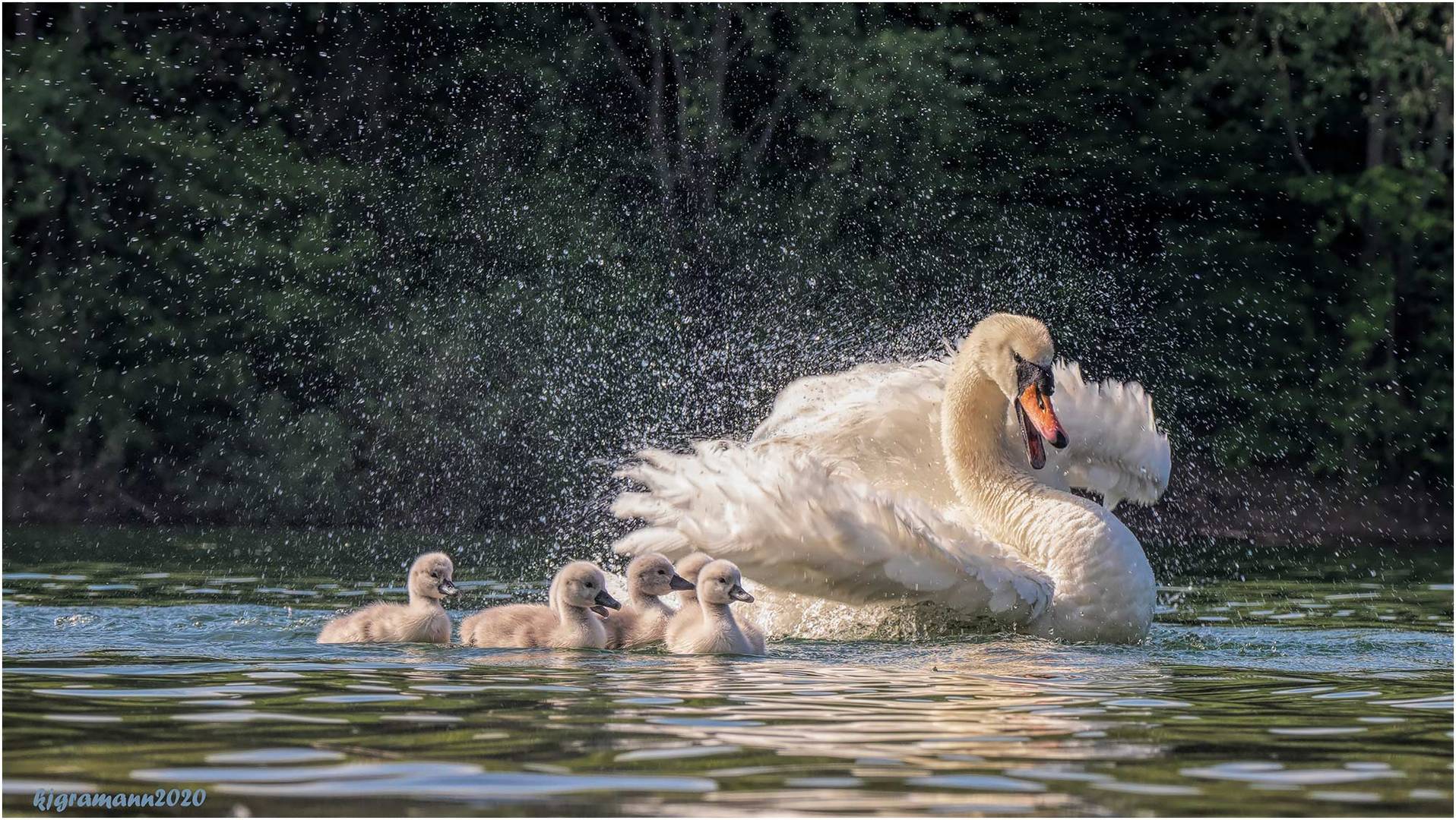 familienausflug....