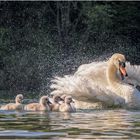 familienausflug....