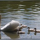 Familienausflug