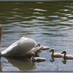 Familienausflug