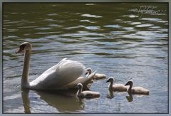 Familienausflug