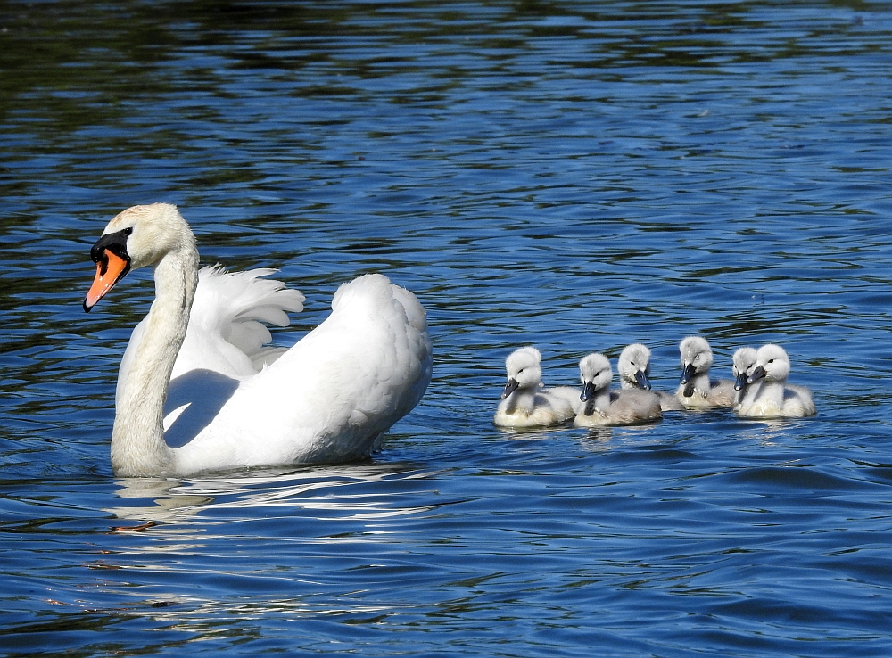 Familienausflug