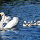 Familienausflug