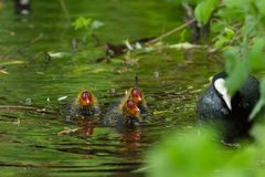 Familienausflug