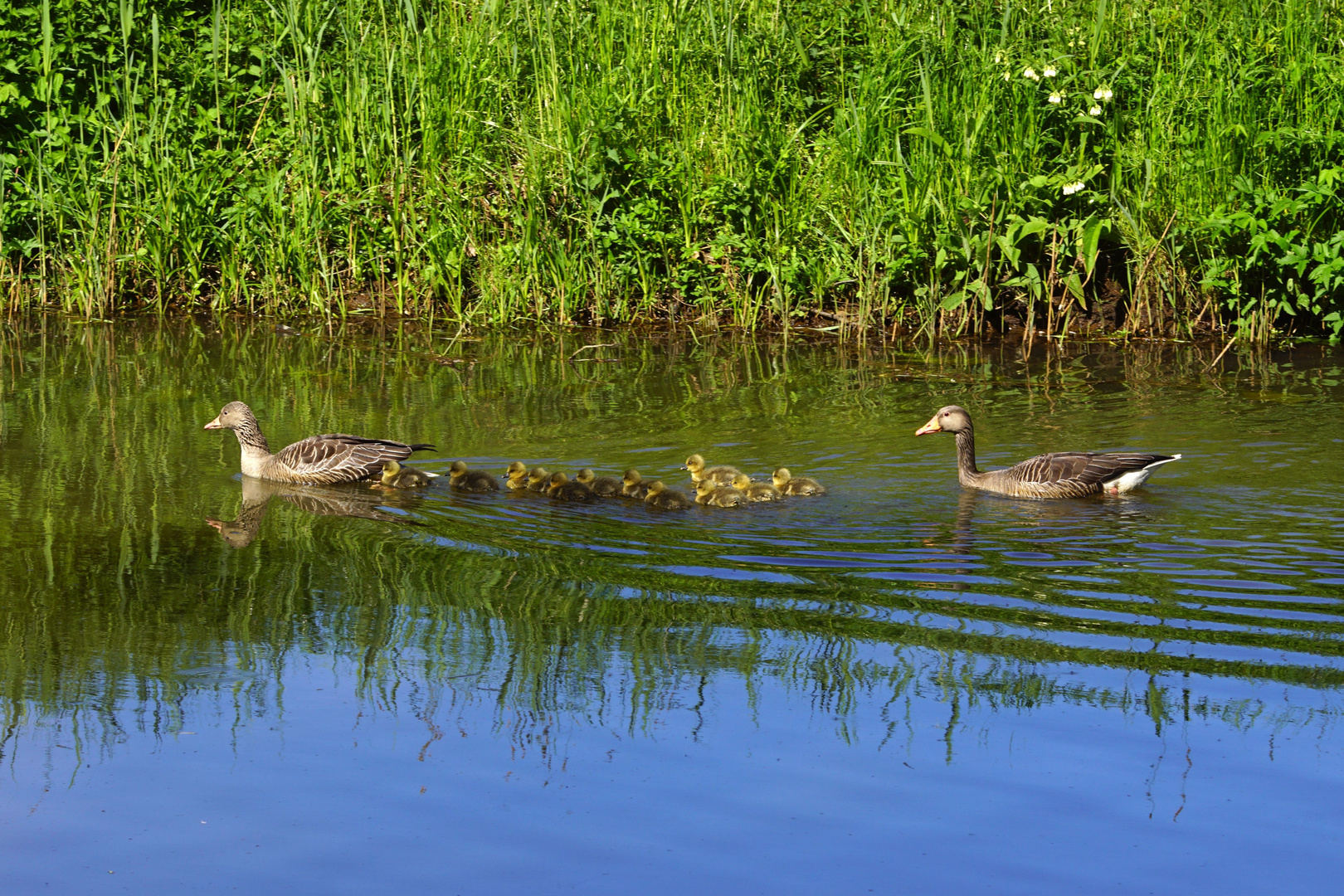 Familienausflug.