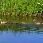 Familienausflug.