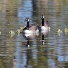 Familienausflug, Family outing, Excursion familiar