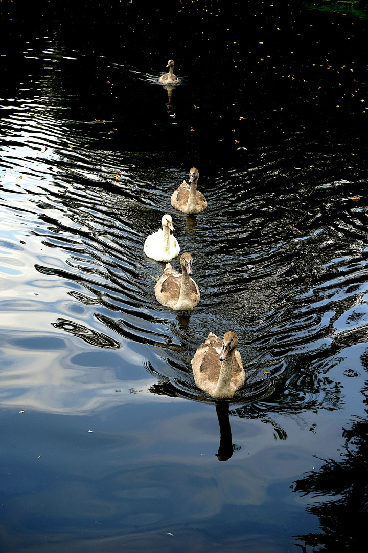 Familienausflug