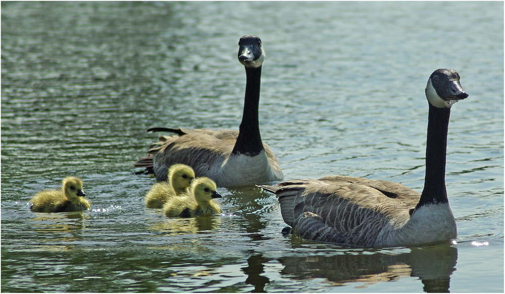 Familienausflug von C. Dietl 