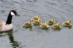 Familienausflug