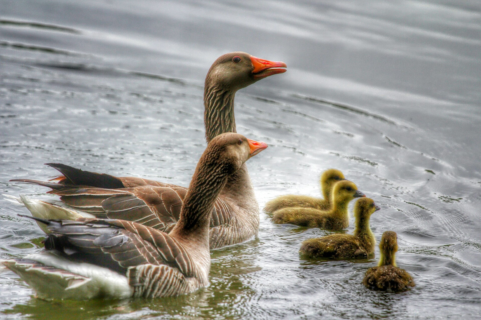 Familienausflug