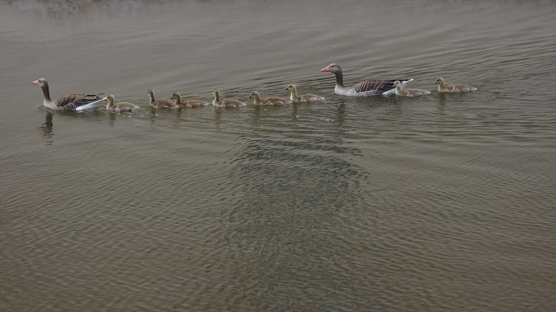 Familienausflug