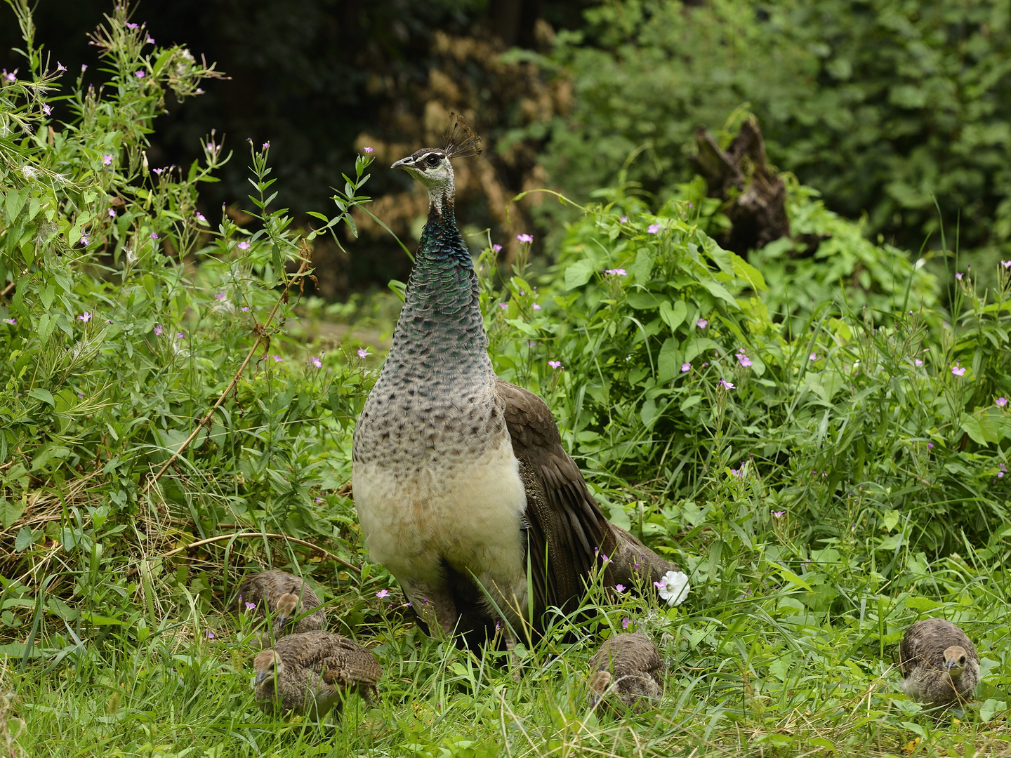 Familienausflug