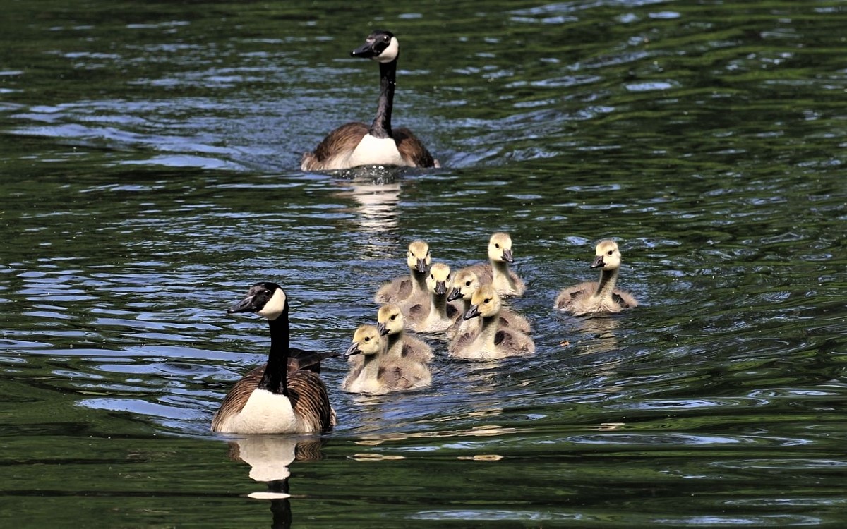 Familienausflug