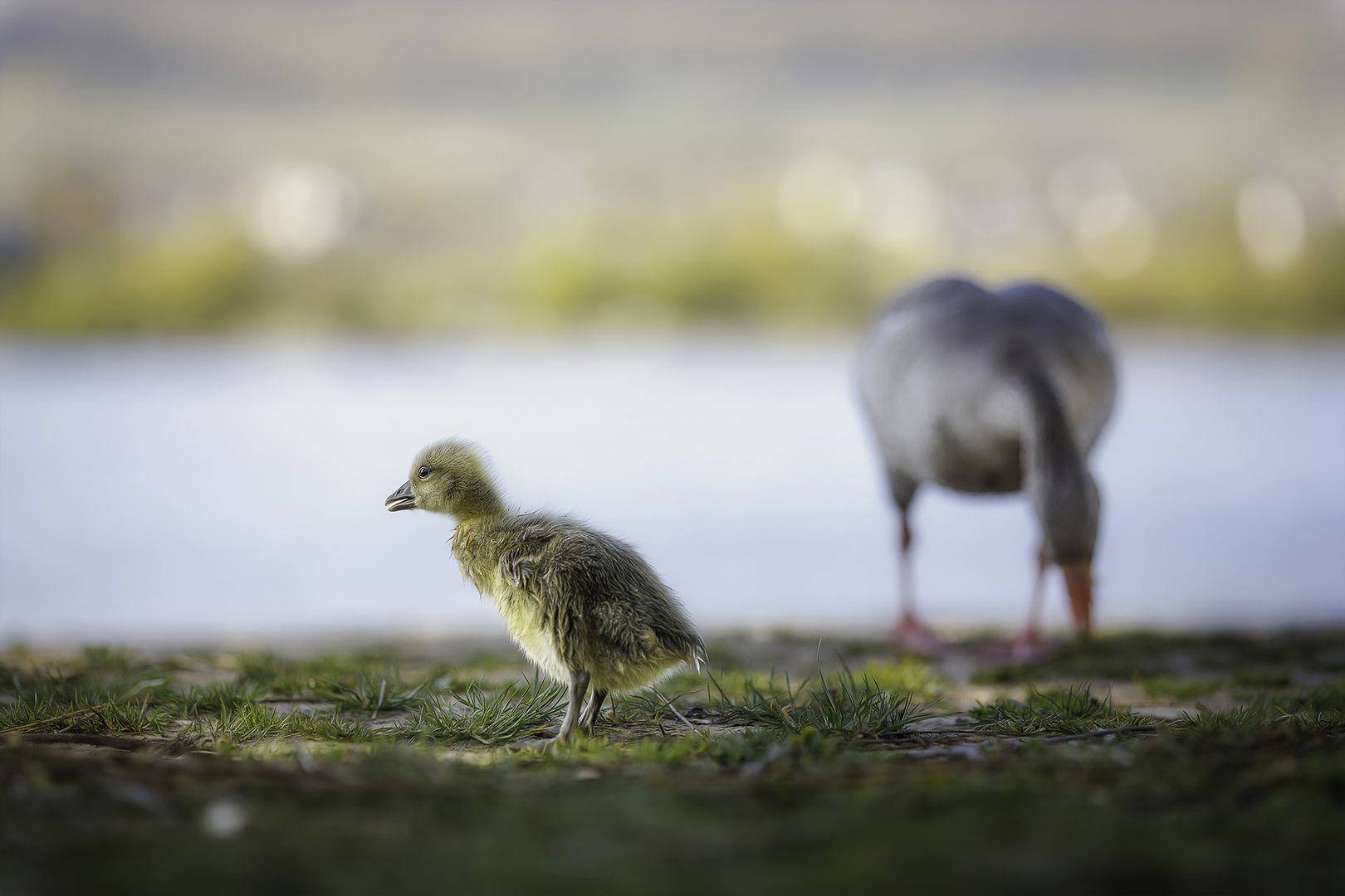 ... Familienausflug ...