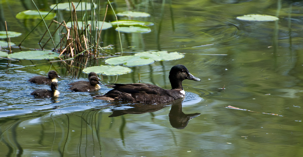 Familienausflug