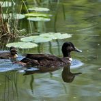 Familienausflug