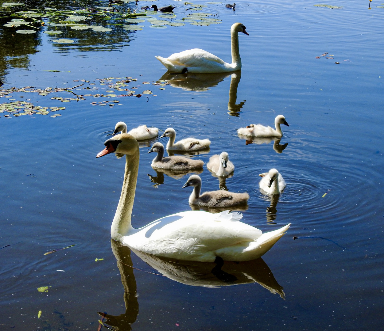 Familienausflug