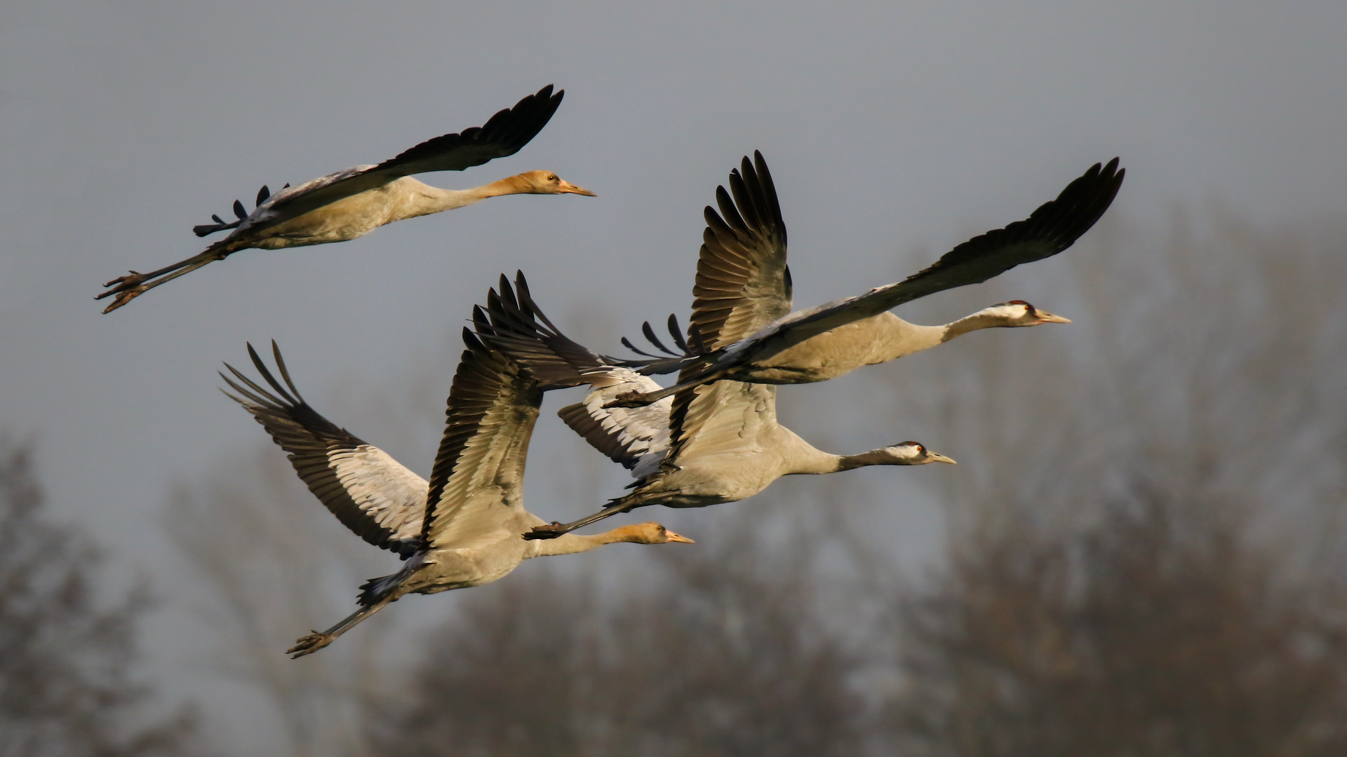 Familienausflug 