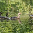 Familienausflug I