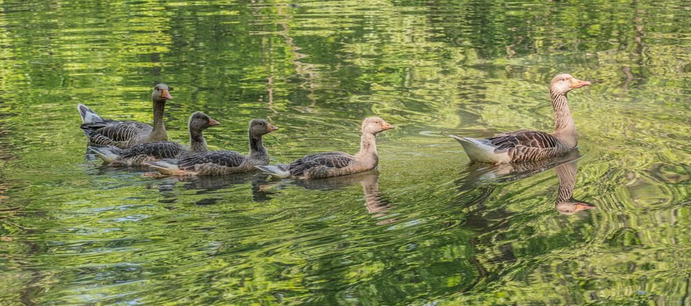 Familienausflug I