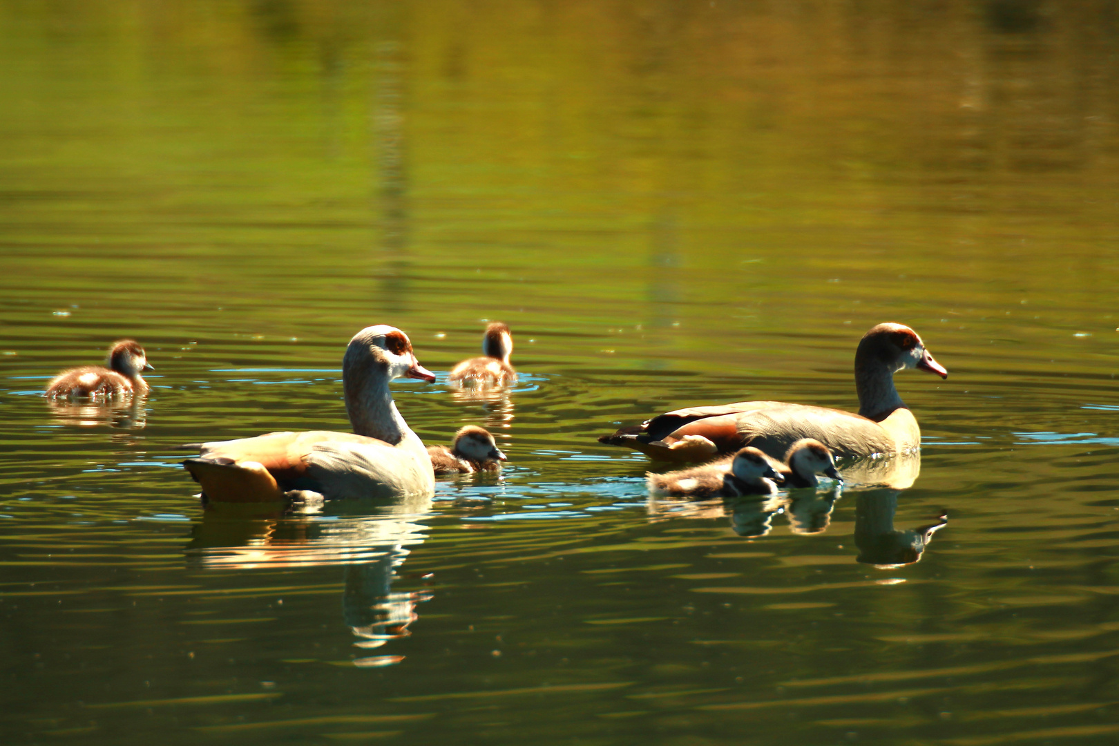 Familienausflug im April