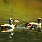 Familienausflug im April