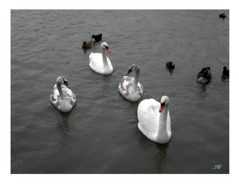 Familienausflug im Regen