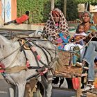 Familienausflug im Senegal