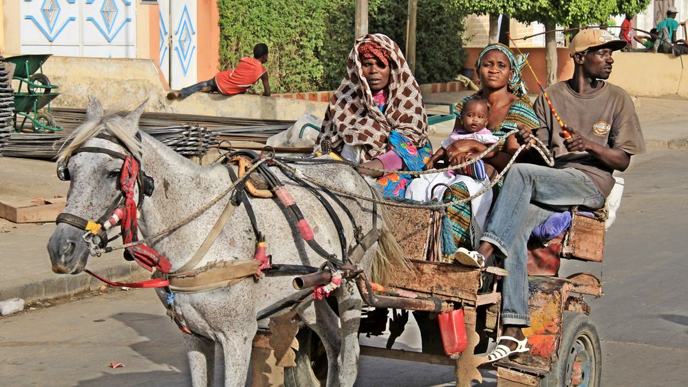 Familienausflug im Senegal