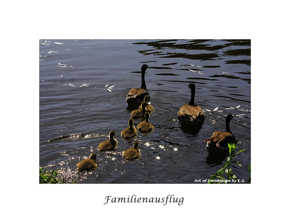 Familienausflug im Sonnenlicht