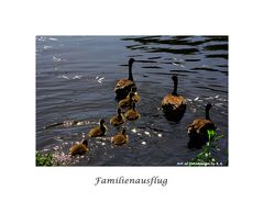 Familienausflug im Sonnenlicht