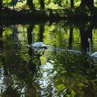 Familienausflug im traumhaften Licht