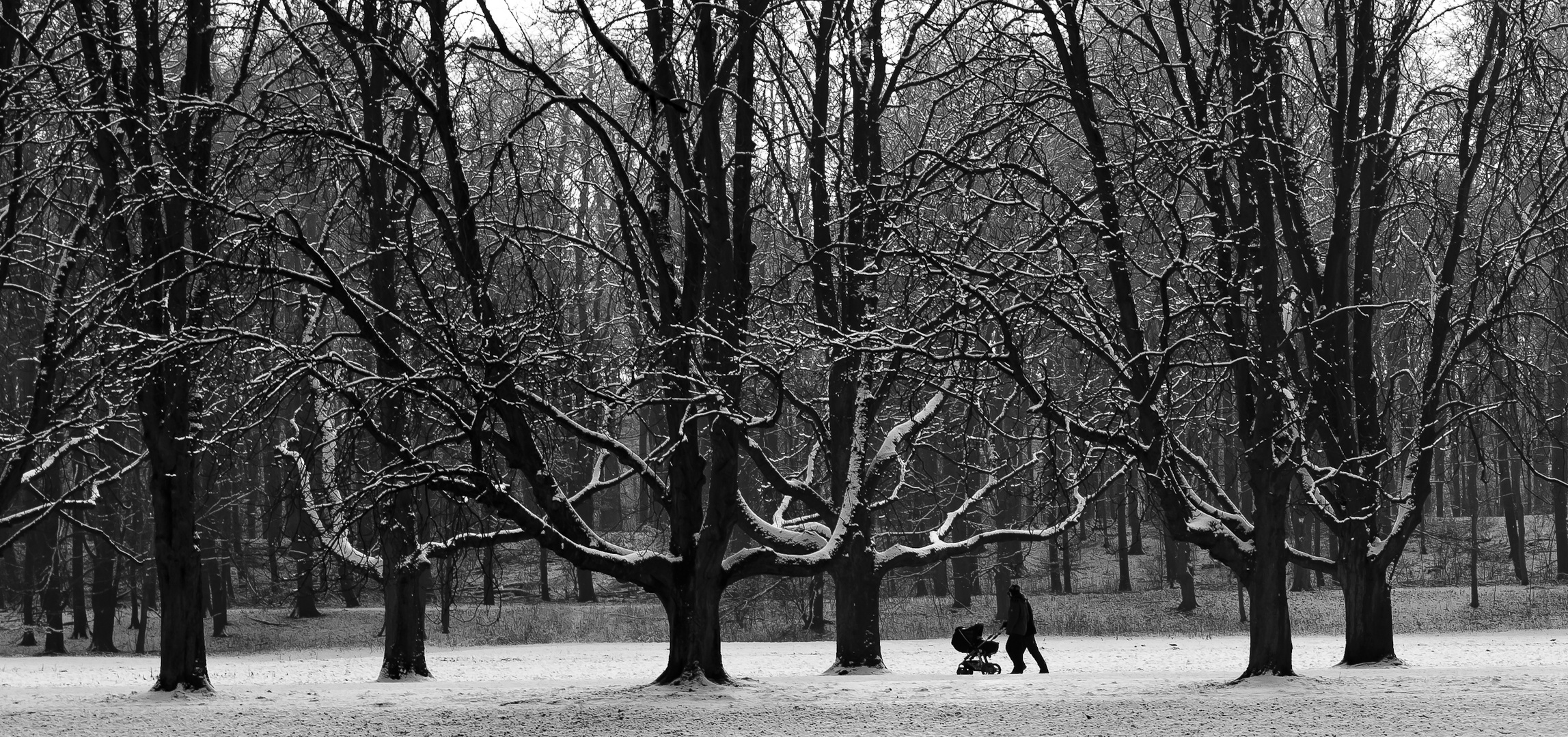 Familienausflug im Winter