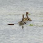 Familienausflug in den Masuren