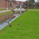 Familienausflug in den Schlossgarten