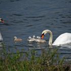 Familienausflug ins Wasser