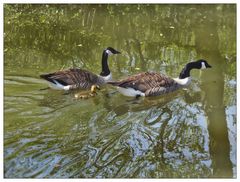 Familienausflug ins Wasser