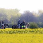 Familienausflug mit 4 PS