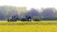 Familienausflug mit 4 PS