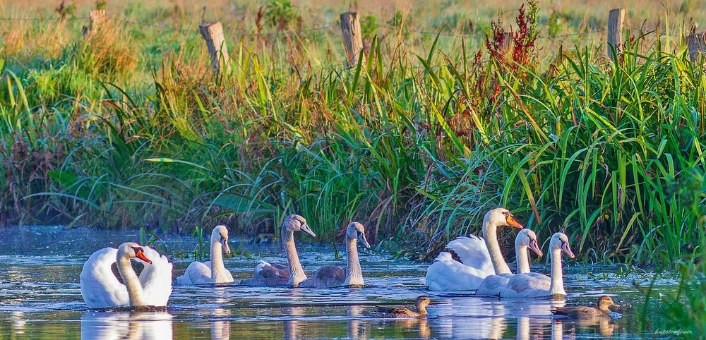 Familienausflug mit Gästen bei....